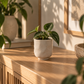 Pot en Céramique Mouchetée — Kō