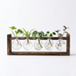 Support de Propagation en Bois — Sora 5