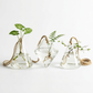 Vases de Propagation Suspendus — Hikari