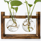Support de Propagation en Bois — Sora