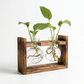 Support de Propagation en Bois — Sora