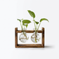 Support de Propagation en Bois — Sora