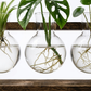 Support de Propagation en Bois — Sora 5