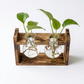 Support de Propagation en Bois — Sora