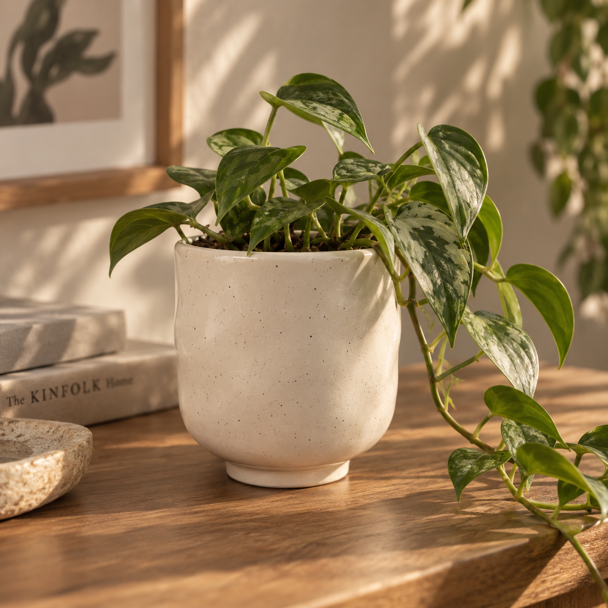 Pot en Céramique Mouchetée — Kō